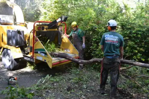 tree services Blue Rapids